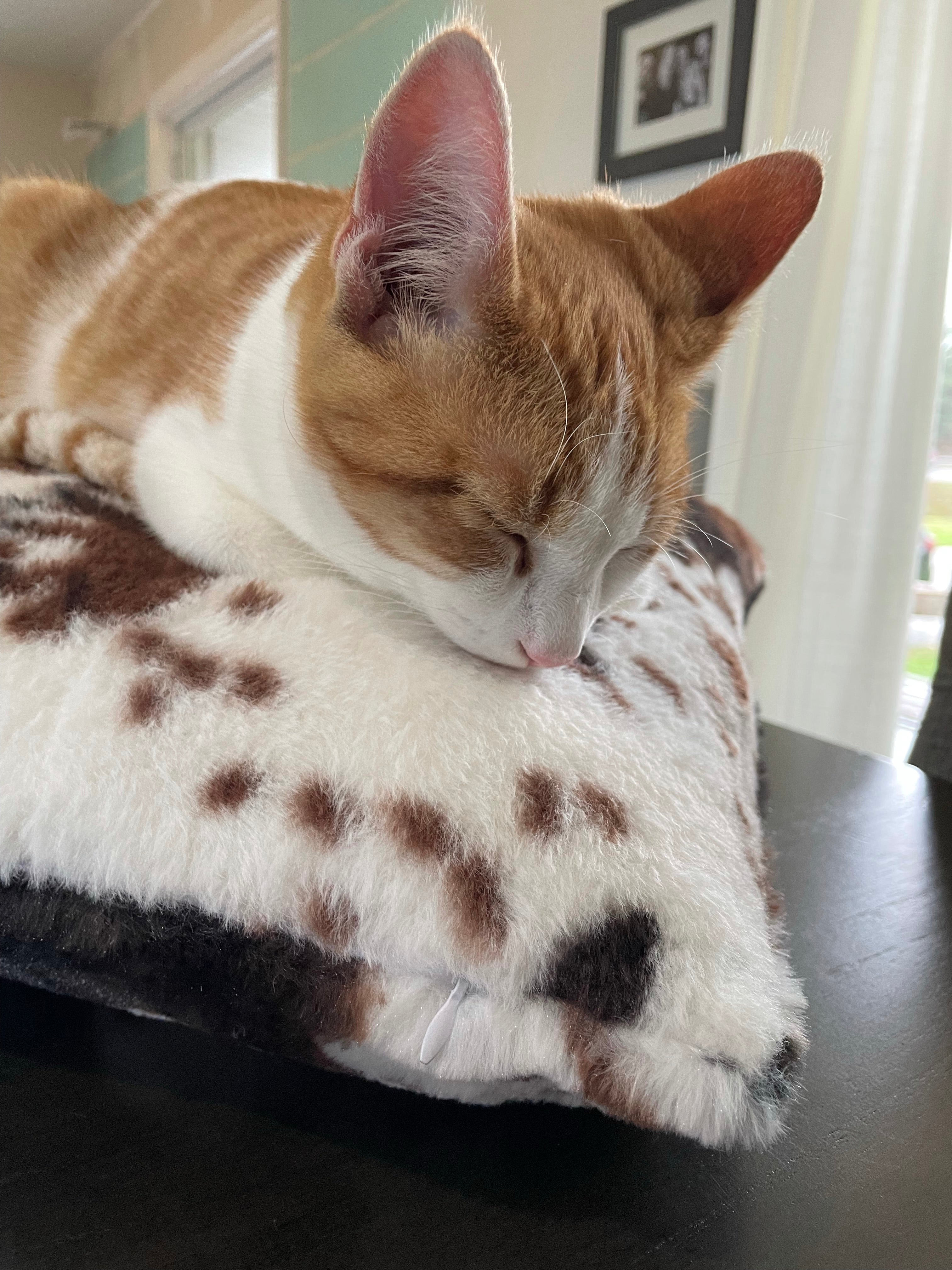 Animal Print Plush Pillow Case